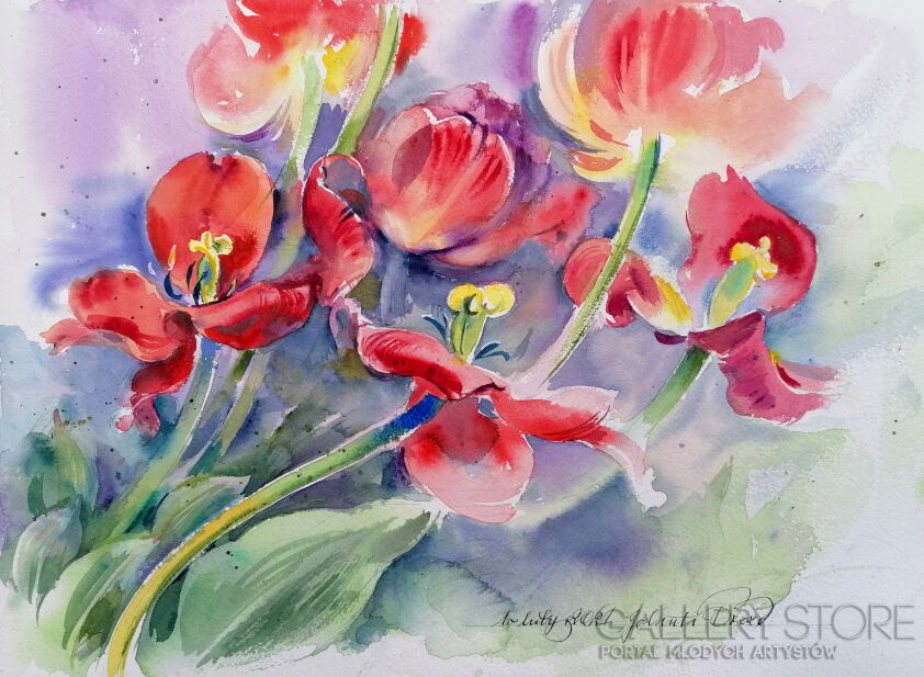 Jolanta Drozd-Tańczące tulipany-Akwarela