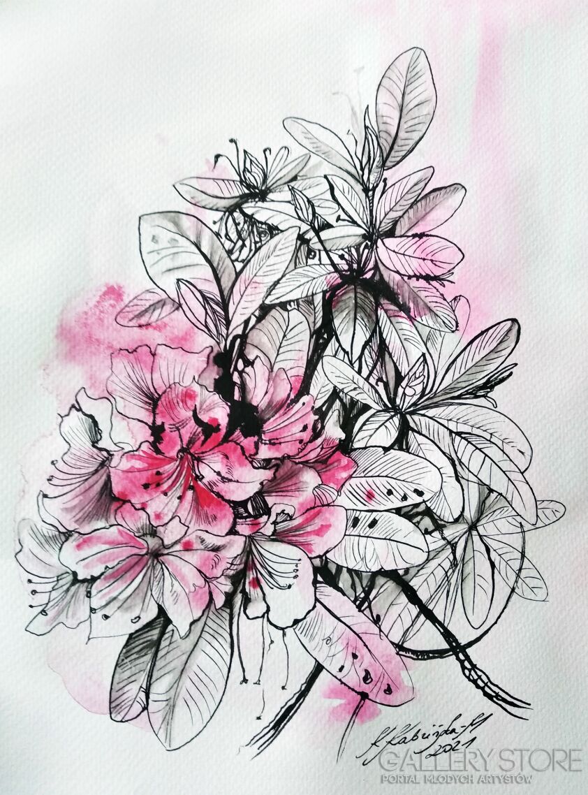 Katarzyna Kabzińska-Masionek-Rododendrony (z serii "Kwiaty")-Rysunek