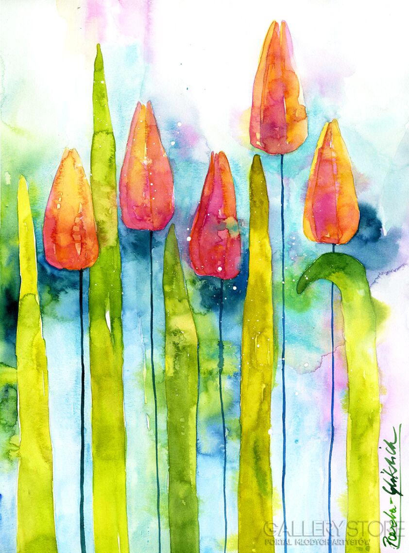 Klaudia Pawelec-Gliklich-Colorful tulip -Akwarela