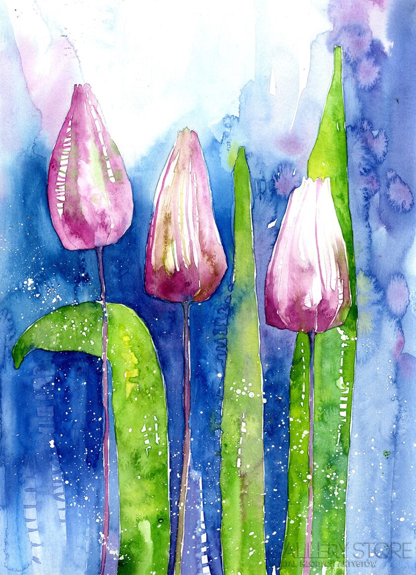 Klaudia Pawelec-Gliklich-Różowe tulipany -Akwarela