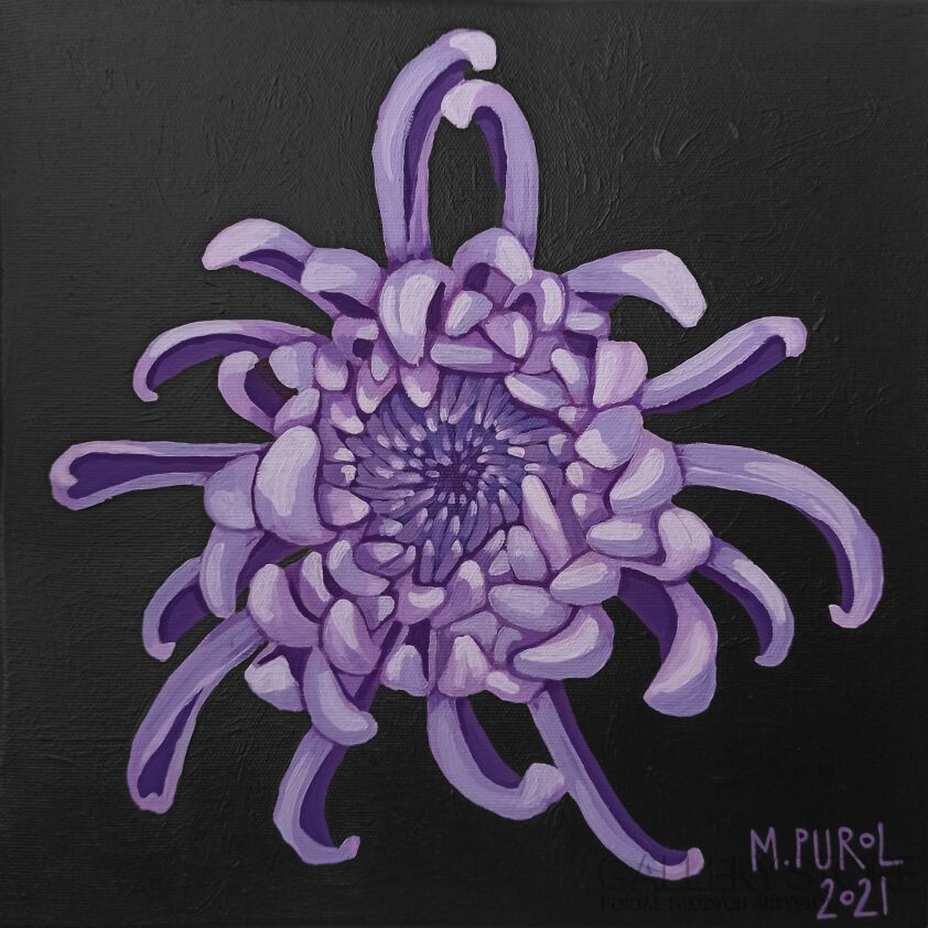 Magdalena Purol-Chrysanthemum Purple-Akryl