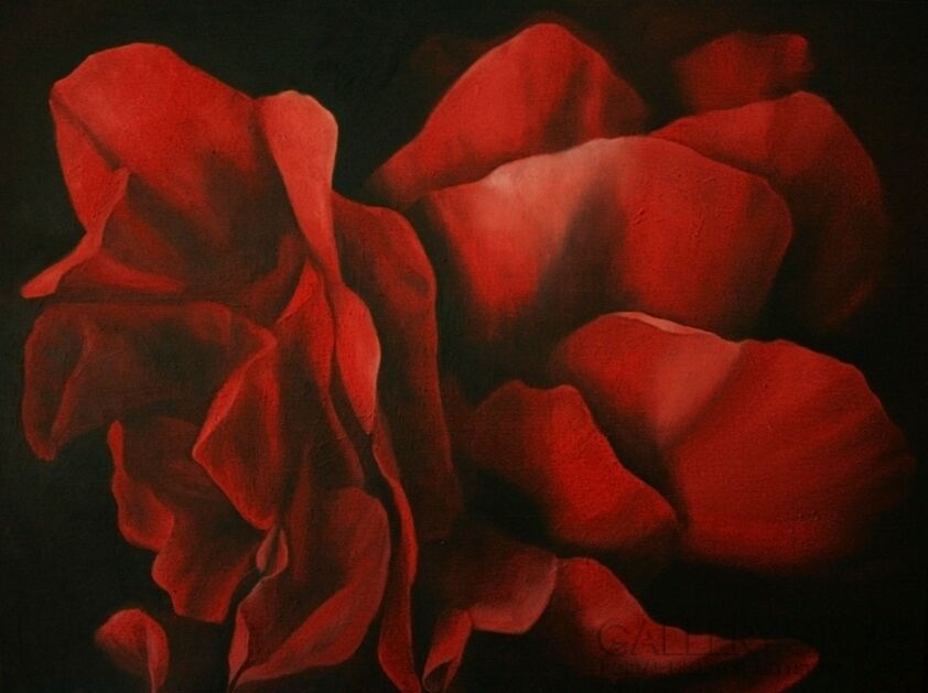 Natalia Ziomek- Wilusz-Czerwona róża-Olej