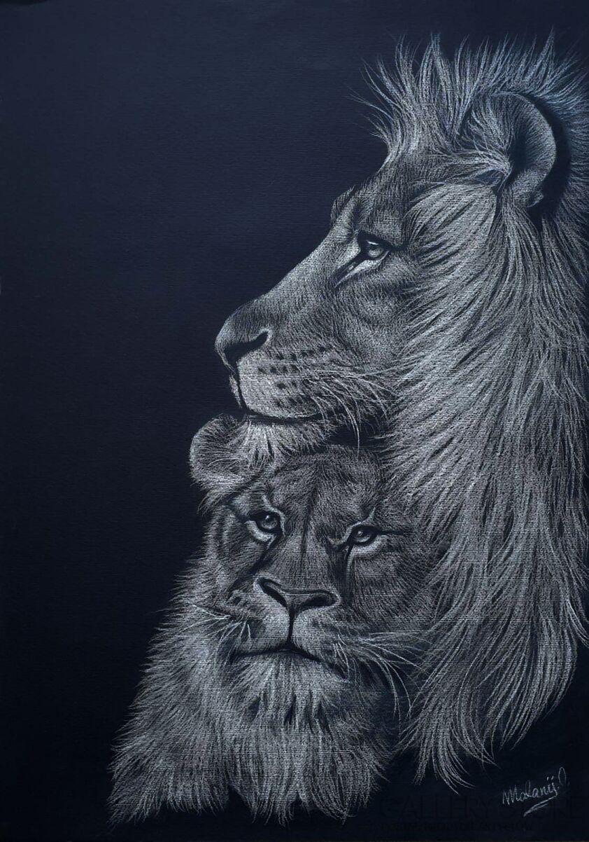 Oksana Kostrychenko-A pair of Lions -Rysunek