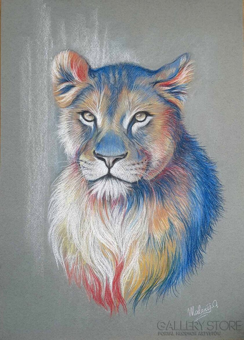 Oksana Kostrychenko-Lioness-Rysunek