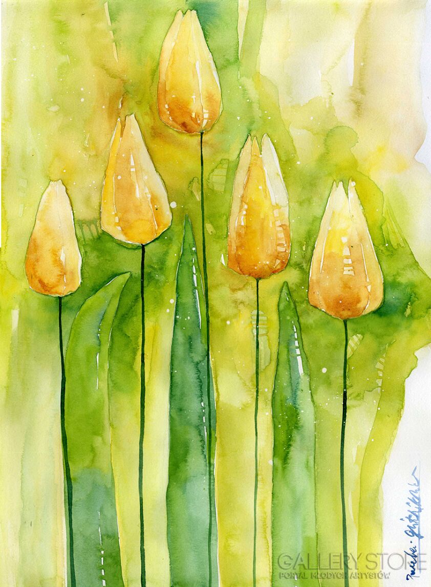 Klaudia Pawelec-Gliklich-Green tulips  -Akwarela