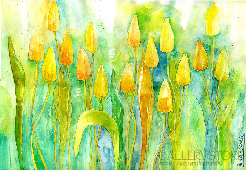 Klaudia Pawelec-Gliklich-Wczesne tulipany -Akwarela