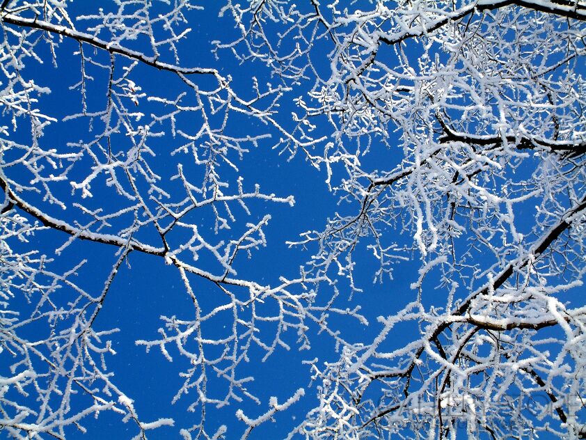 Raffaello Torres-ahh polish winter-Fotografia